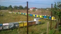 Imagine de ansamblu asupra stupinei